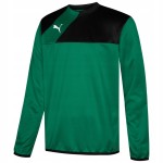 Bluza Puma 654380 28 piłkarska r. 116 cm