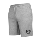 EVERLAST spodenki szorty sportowe BOXING r. L szare