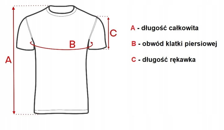 EVERLAST-t-shirt-KOSZULKA-meska-BAWELNA-sportowa-M-3-sztuki-mix-Liczba-sztuk-w-ofercie-3-szt.jpeg